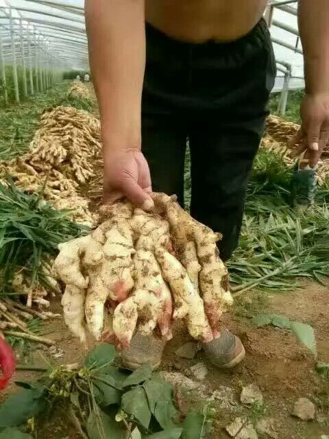 QQ圖片20160813134818