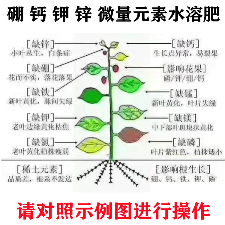 2d157e3dbecd405fec52946d2c502b