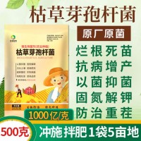 500克/包常規(guī)型 農業(yè)肥種植改良土壤促增長種植菌種 枯草芽孢桿菌