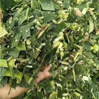 養(yǎng)殖用玉米秸稈青儲飼料 粉碎玉米秸稈牛羊馬鵝飼料草料