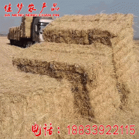 現(xiàn)貨供應(yīng)干稻草牛羊飼草稻草飼料無霉變無雜質(zhì)草料墊鴨棚稻草秸稈
