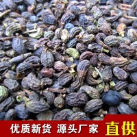 批發(fā)供應(yīng)中藥材女貞子 干凈無雜粒粒飽滿篩選冬青子 量大從優(yōu)