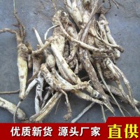 中藥材批發(fā)秦嶺野生北沙參 北沙參片干貨沙參條 現(xiàn)貨供應