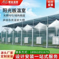 陽(yáng)光板大棚 生態(tài)農(nóng)業(yè)育苗溫室大棚 智能連棟陽(yáng)光板光伏溫室大棚