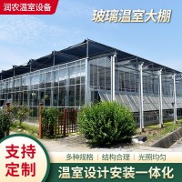 廠家可定玻璃溫室大棚 陽光連棟休閑觀光溫室玻璃農(nóng)業(yè)養(yǎng)殖大棚
