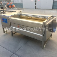 直銷清洗機 果蔬氣泡清洗機 萬能洗菜機 土豆去皮毛輥去皮機星科