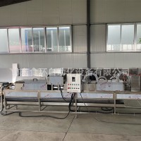 廠家供應(yīng)大型商用全自動(dòng)洗蛋機(jī) 養(yǎng)殖場(chǎng)蛋品雞蛋鴨蛋清洗洗蛋機(jī)