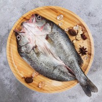【廠家加工定制 】開(kāi)背海鱸魚(yú) 鱸魚(yú)鲞 三去冷凍真空包裝 酒店餐飲