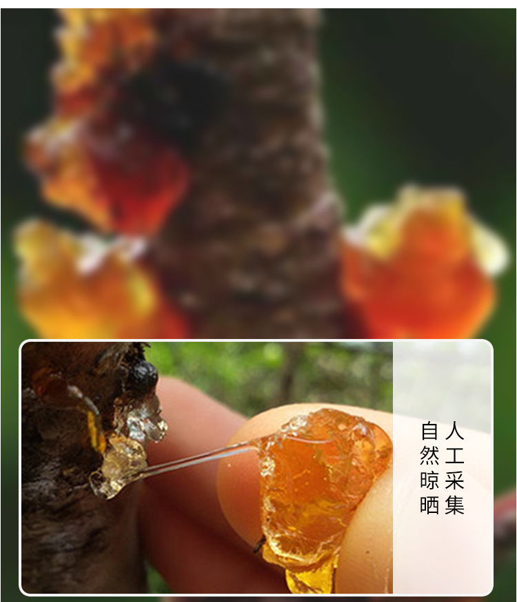 水洗珍珠桃膠----250克_05