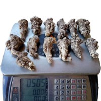 源產(chǎn)地直銷(xiāo)甘肅岷縣當(dāng)歸頭 無(wú)硫頭1斤13頭左右 廠家直銷(xiāo)量大從優(yōu)