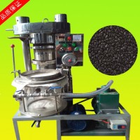 全自動(dòng)芝麻榨油機(jī) 小型榨油機(jī) 液壓榨油機(jī) 榨油葡萄籽