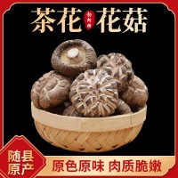 茶花花菇 柄短香菇干冬菇批發(fā)產(chǎn)地直發(fā)花菇干貨批發(fā) 佛跳墻配料