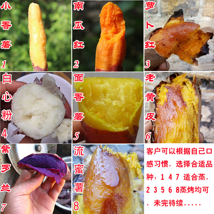 產(chǎn)品新導(dǎo)購圖