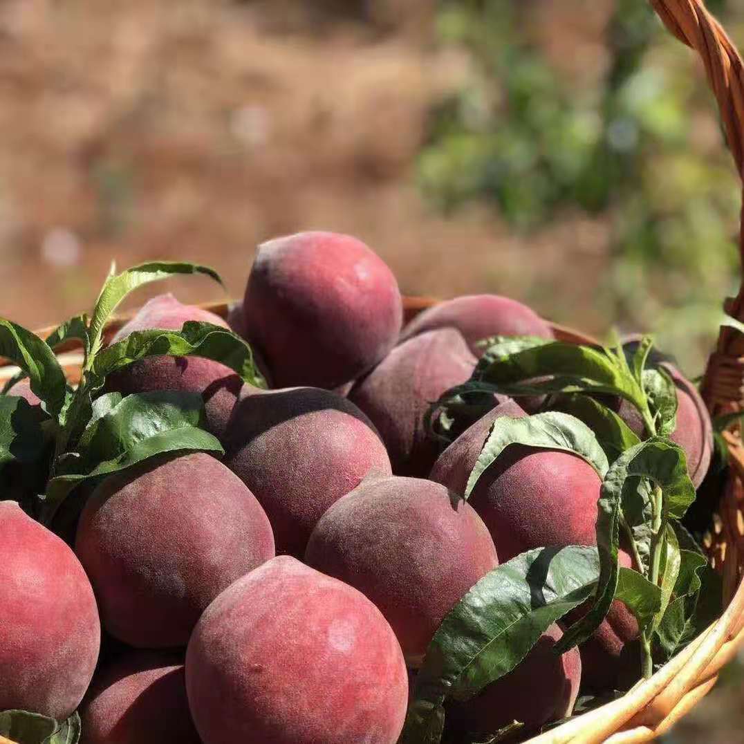 微信圖片_20210505063741