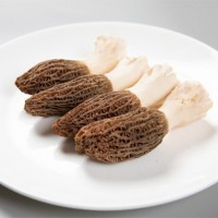 香格里拉特產(chǎn)羊肚菌新鮮菌菇蘑菇云南野山菌廠地直供可順豐直郵