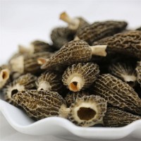 云南特產(chǎn)羊肚菌干貨菌菇蘑菇烘干批發(fā)野山菌一件代發(fā)品質(zhì)好貨