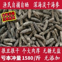 自曬長島淡干海參干貨山東煙臺(tái)非大連遼參刺參50g-500g散裝選禮盒