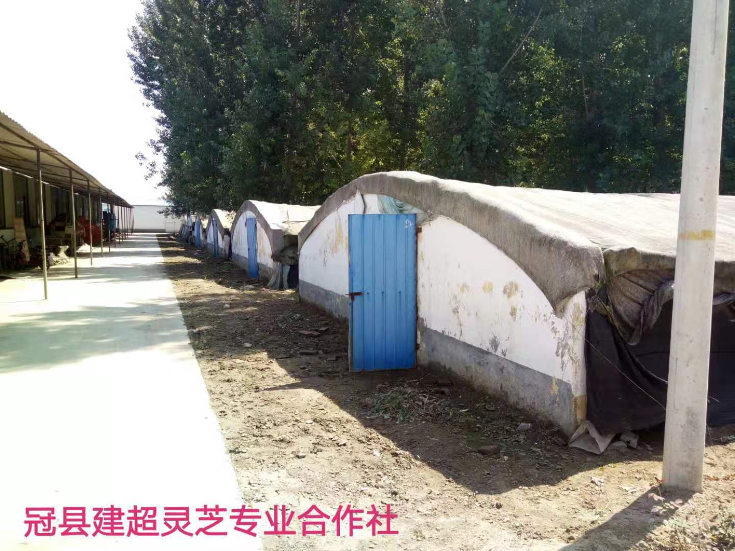 微信圖片_20190721201125