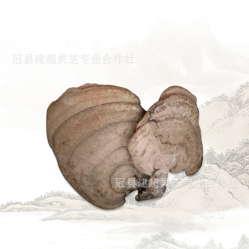 微信圖片_20190721183057