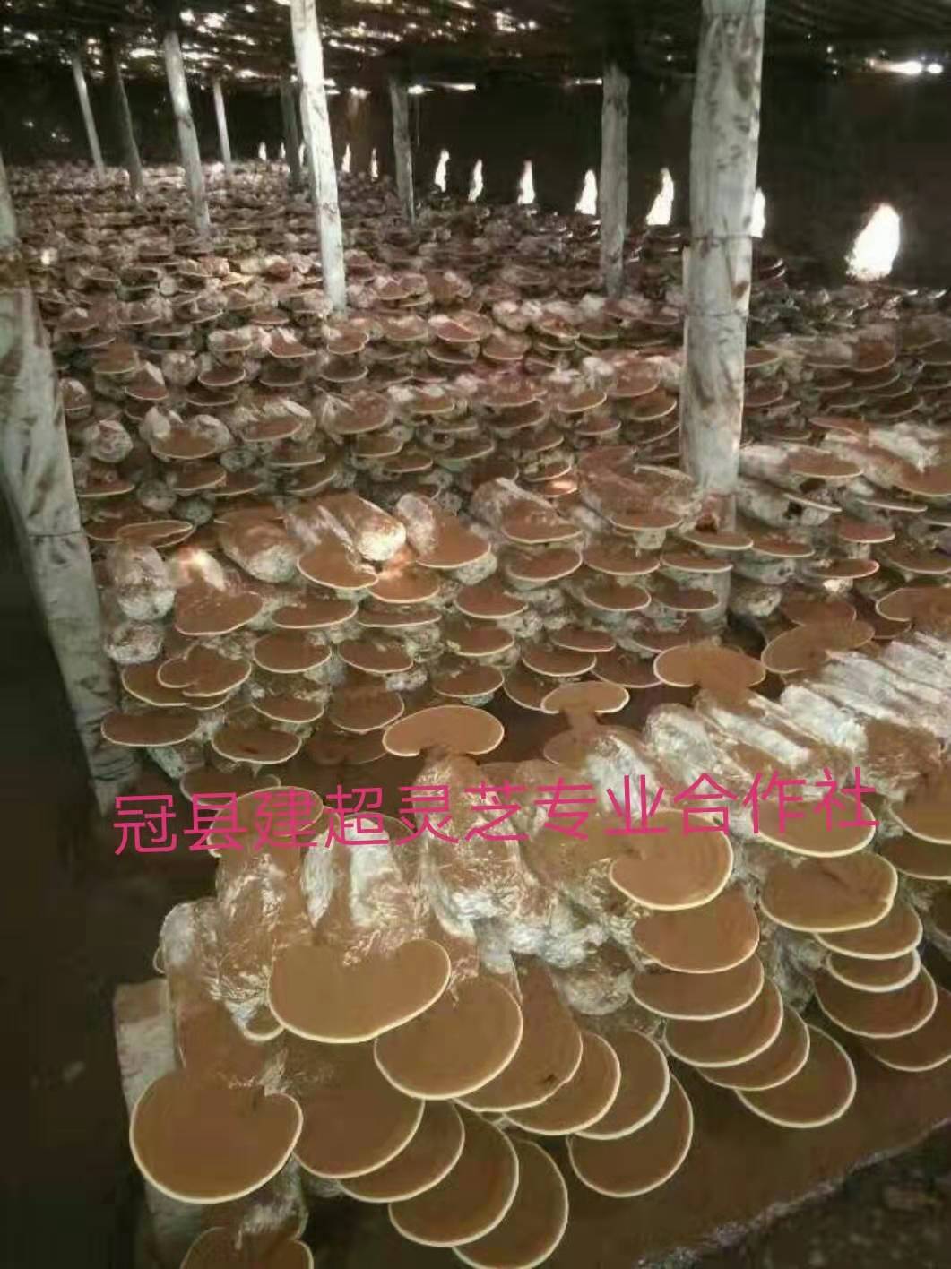 微信圖片_20190721205251