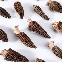 羊肚菌干貨 羊肚菇云南食用菌 散裝人工干羊肚菌批發(fā)農(nóng)家食用菌