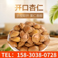 堅(jiān)果新品開口杏仁 廠家供應(yīng)特產(chǎn)手剝小杏仁干果杏仁休閑零食批發(fā)