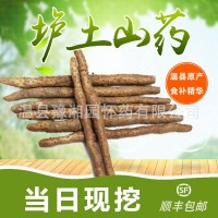 河南焦作溫縣壚土鐵棍山藥懷山藥溫縣特產5斤凈重禮盒裝