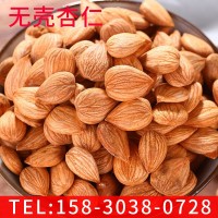 新品無殼杏仁 簡包裝可口開口杏仁 休閑零食 廠家供應(yīng)