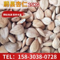 張家口特產(chǎn)無(wú)殼杏仁 散裝干果炒貨熟杏仁批發(fā) 休閑零食批發(fā)