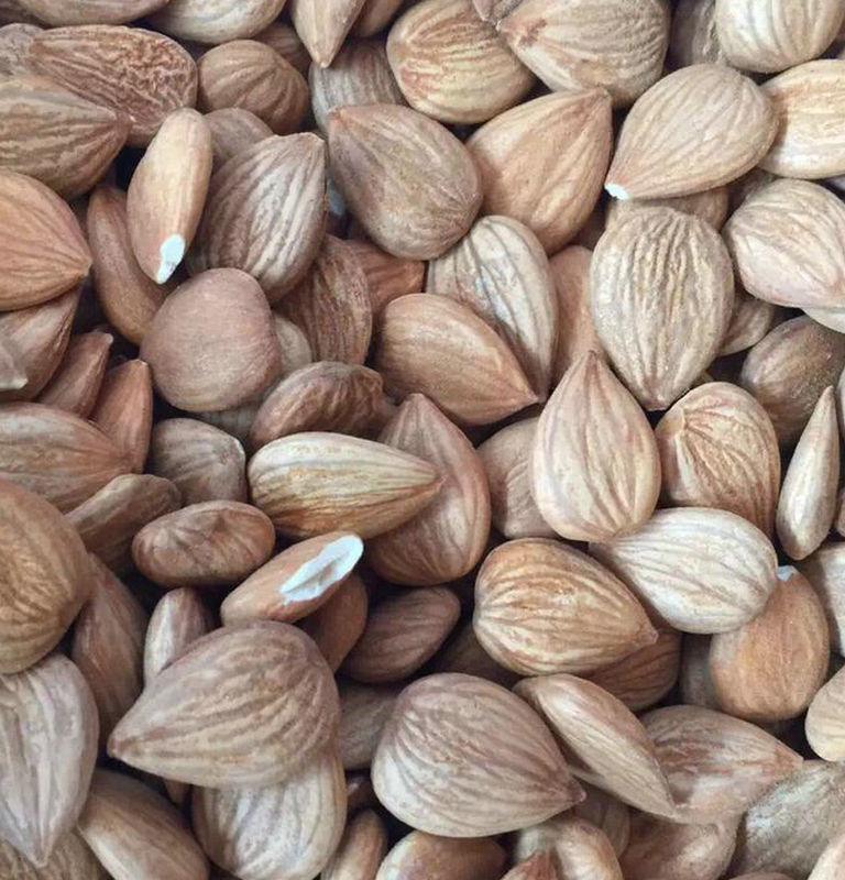 蔚縣杏仁 顆粒飽滿 營養(yǎng)豐富 25KG_副本