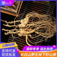 廠家直銷長(zhǎng)白山林下參 正品野山參15年25年移山參籽貨干參禮盒