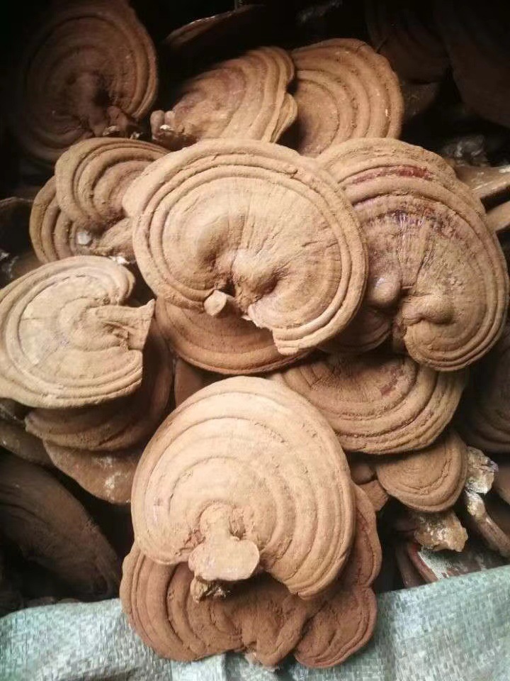 微信圖片_20201219215430