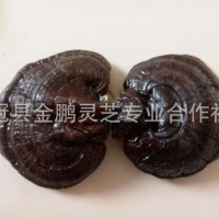 現(xiàn)貨供應(yīng) 紫靈芝 長(zhǎng)白山紫靈芝 紫靈芝片免費(fèi)切片打粉