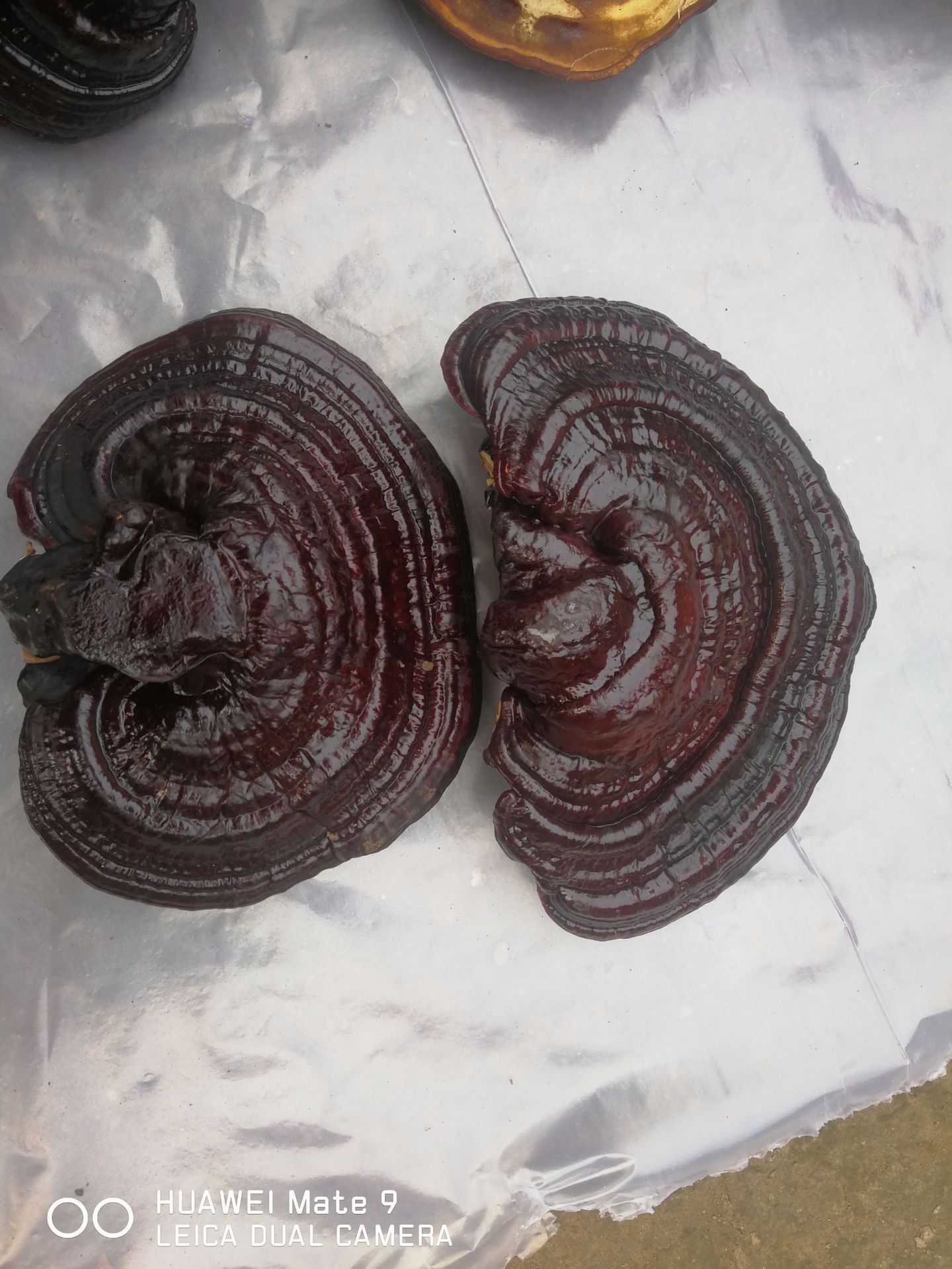 微信圖片_20181123100311