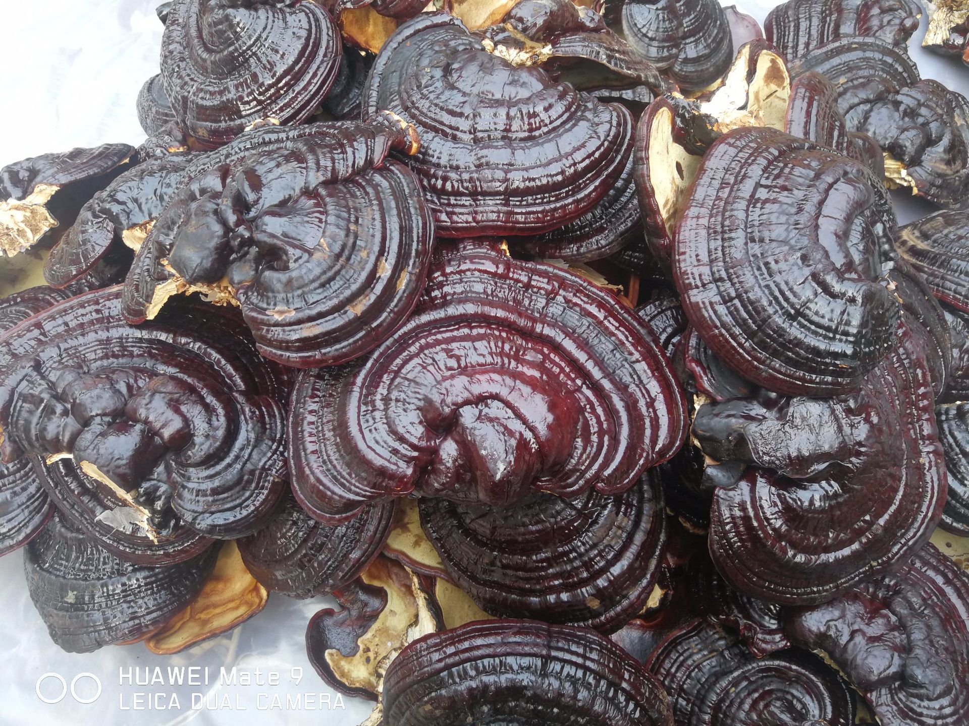 微信圖片_20181123100319