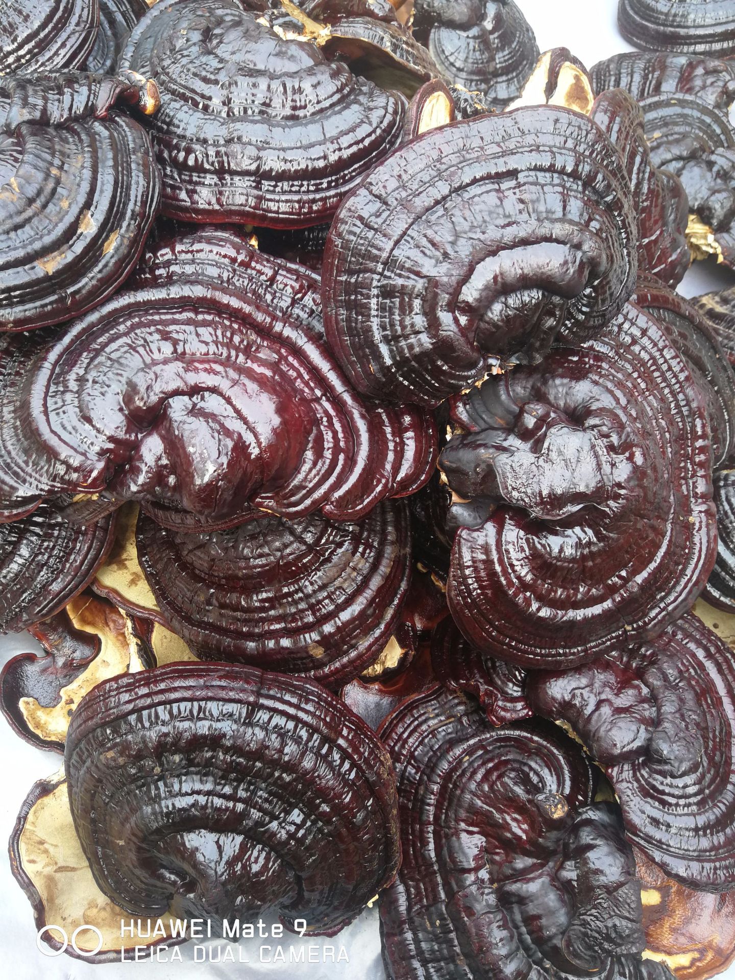 微信圖片_20181123100316