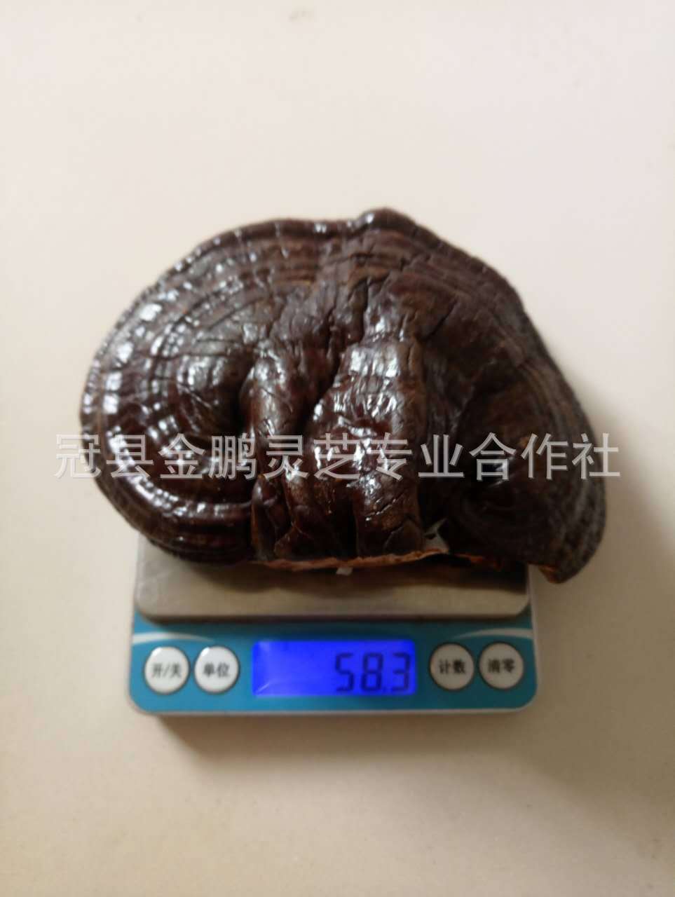 微信圖片_20170916110305