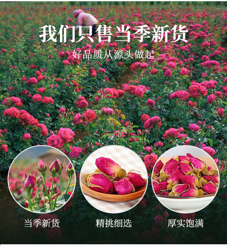 散茶玫瑰花-詳情_07.jpg