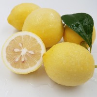 批發(fā)四川安岳黃檸檬 新鮮小果 70-90g 一斤6個(gè)皮薄汁多 5斤起賣