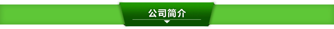 公司簡(jiǎn)介