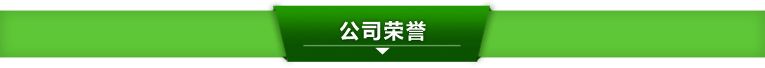 公司榮譽(yù)