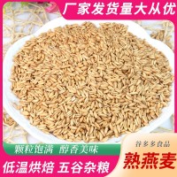 低溫烘焙熟燕麥米 五谷雜糧磨粉現(xiàn)磨豆?jié){原料供應廠家批發(fā)