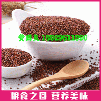 紅藜麥米500g孕婦寶寶粗糧優(yōu)質(zhì)龍芽米非即食五谷雜糧優(yōu)質(zhì)紅藜麥