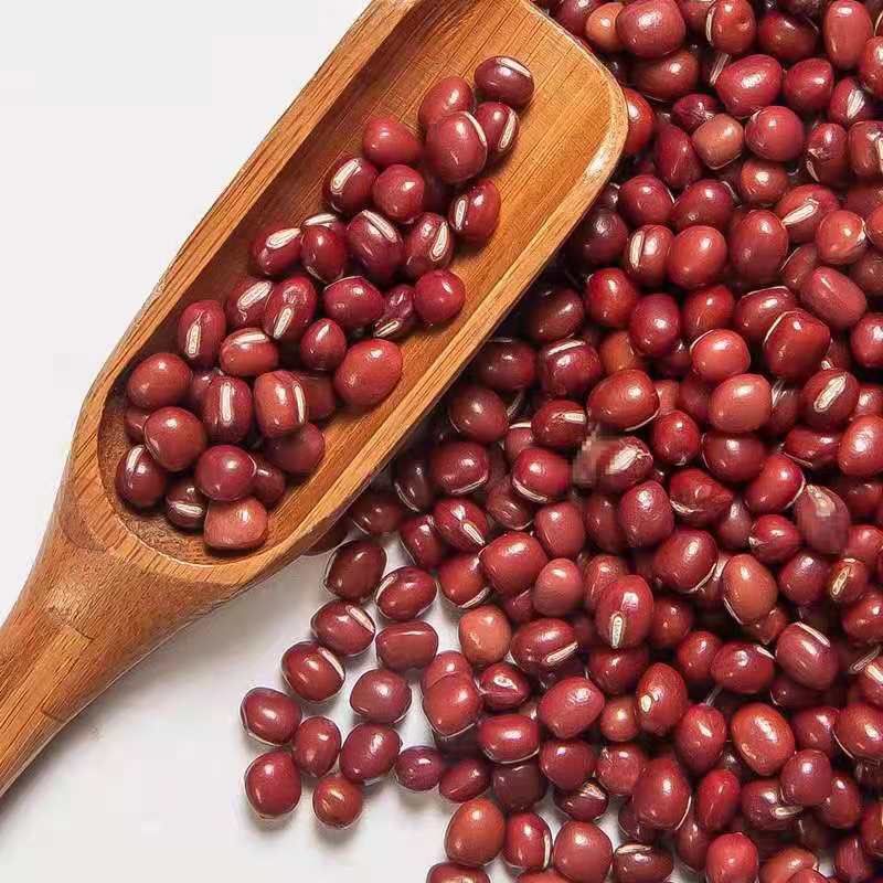 微信圖片_20210416143743