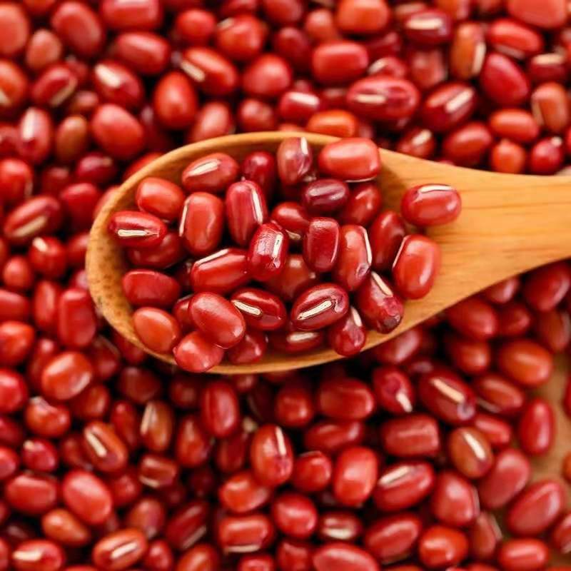 微信圖片_20210416143749