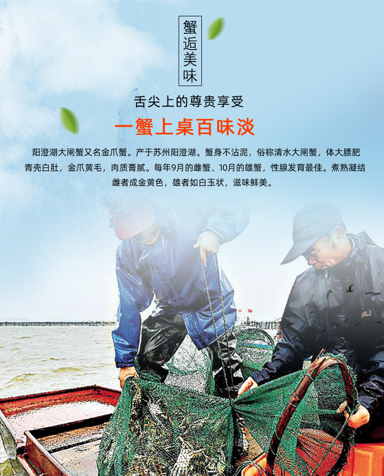 大閘蟹_01