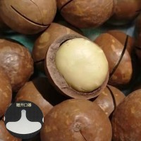 夏威夷果特大批發(fā) 10斤箱裝 夏威夷果堅(jiān)果代發(fā) 奶香味