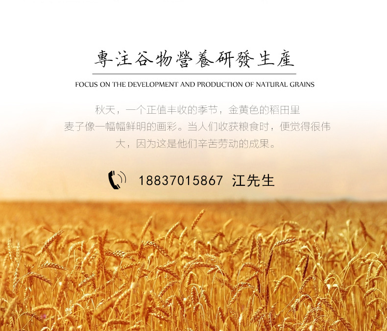 簡(jiǎn)約版_18.jpg