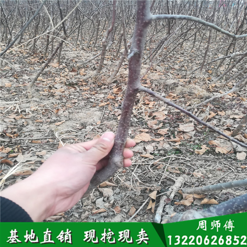 IMG_20180115_160531_副本