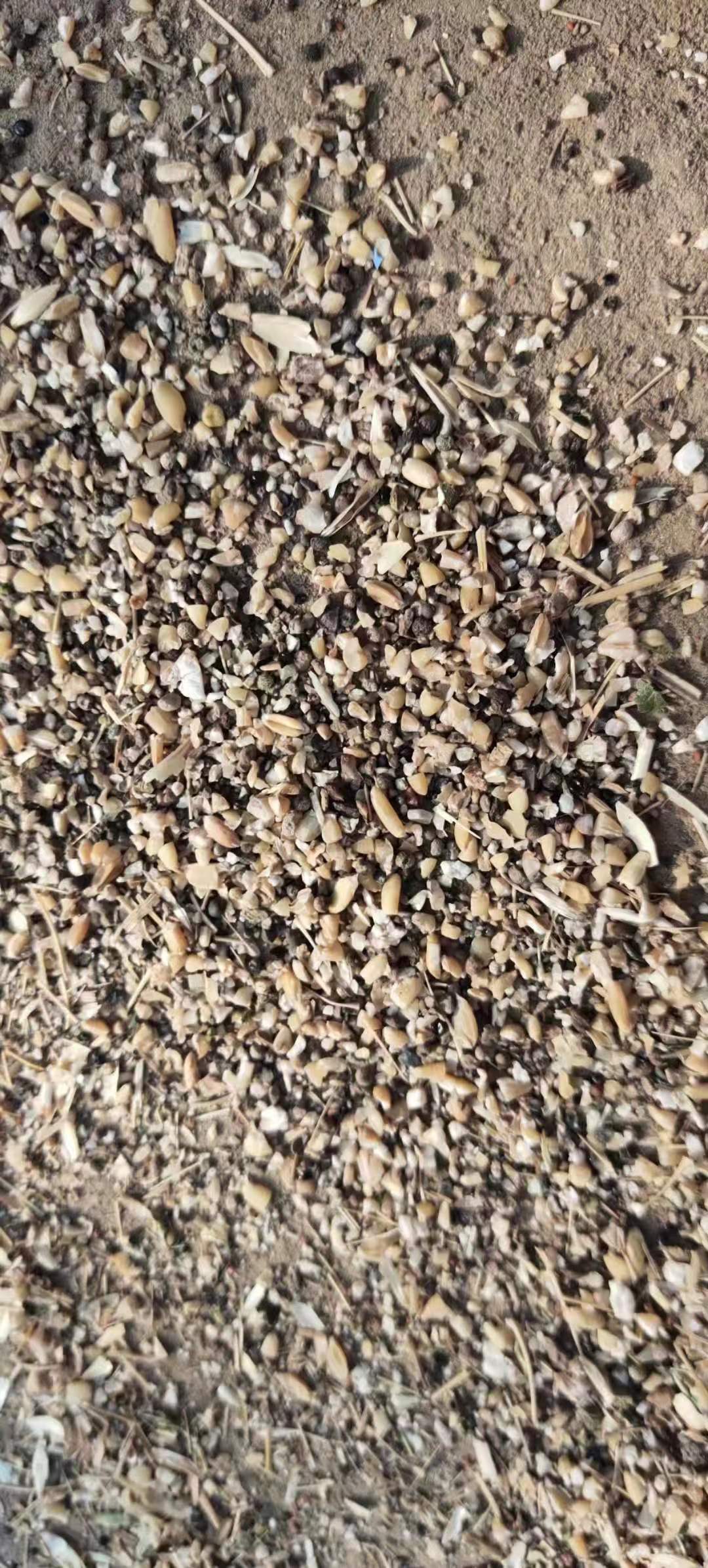 微信圖片_20220716143815